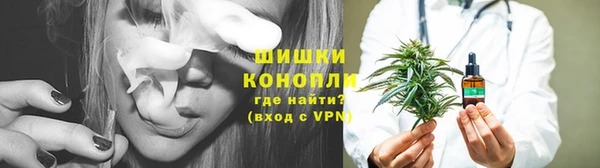ГАЛЛЮЦИНОГЕННЫЕ ГРИБЫ Армянск