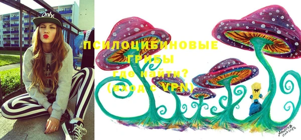 герыч Няндома