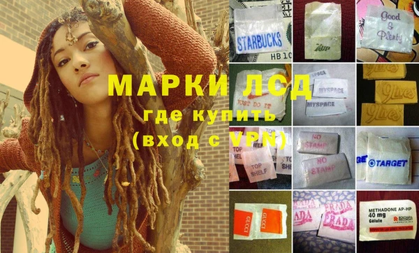 ГАЛЛЮЦИНОГЕННЫЕ ГРИБЫ Армянск