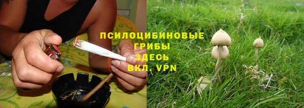 ГАЛЛЮЦИНОГЕННЫЕ ГРИБЫ Армянск