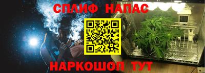 ГАЛЛЮЦИНОГЕННЫЕ ГРИБЫ Славгород