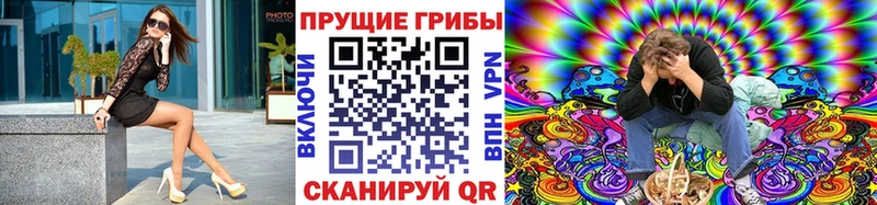 Псилоцибиновые грибы Magic Shrooms  как найти   Североуральск 