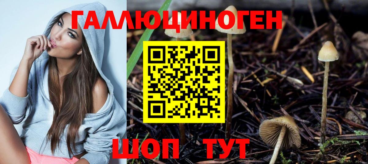 Галлюциногенные грибы ЛСД  Галлюциногенные грибы прущие грибы  Вход с VPN  Североуральск 